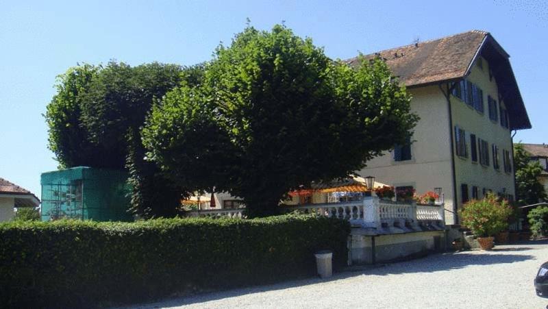 Hotel De Bahyse Blonay Εξωτερικό φωτογραφία